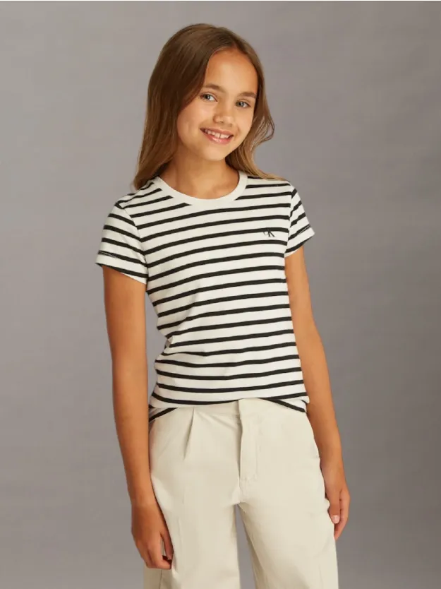 Turtledove/ Ck Black Stripe 2 Pack Slim T-Shirts