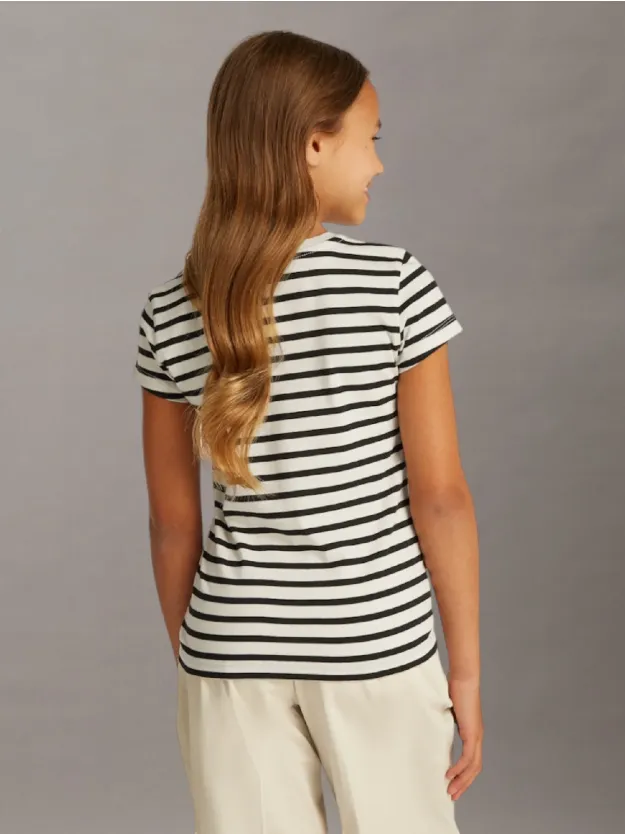 Turtledove/ Ck Black Stripe 2 Pack Slim T-Shirts