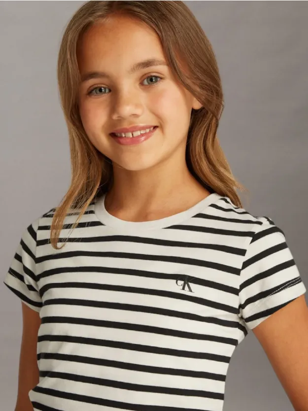 Turtledove/ Ck Black Stripe 2 Pack Slim T-Shirts