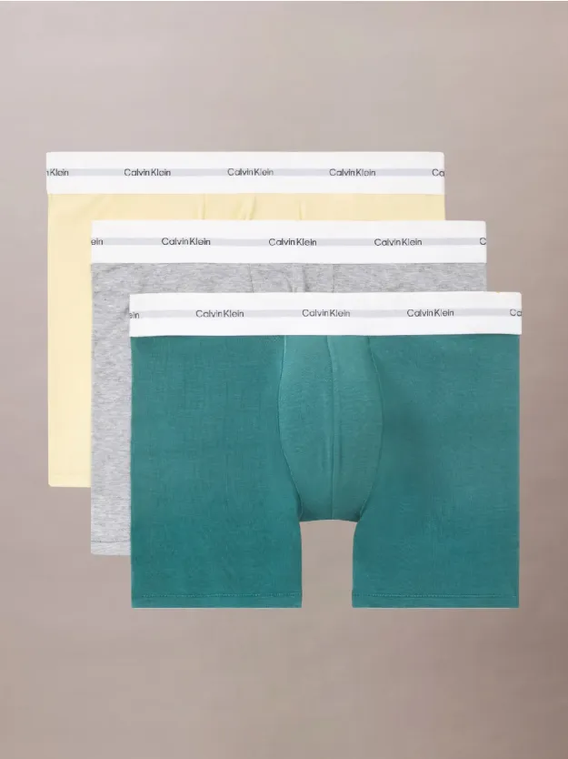 GARDEN GLADE, GR HEATHER, LIVELY TL 3 Pack Boxer Briefs - Cotton Modal